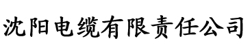 光棍在线影院电缆厂logo